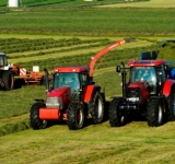 Agri-business